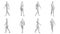 Athletic Young Man Walking, multiple views (side, front, back), 360 degrees rotation