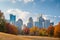 Atlanta, Georgia, USA midtown skyline from Piedmont Park in autumn