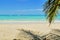 Atlantic beach, palm tree, sand, ships in the ocean, against the blue sky and clouds