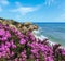 Atlantic blossoming coast view (Algarve, Portugal