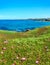 Atlantic blossoming coastline Spain.