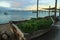 Atlantic coastline with jetty at dusk. Original flower bed for flowers in the boat