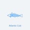 atlantic cod 2 colored line icon. Simple light and dark blue element illustration. atlantic cod concept outline symbol design from