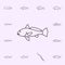 atlantic croaker icon. Fish icons universal set for web and mobile