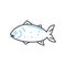 atlantic fish line icon, outline symbol, vector illustration, concept sign