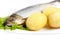 Atlantic herring with boiled potatoes
