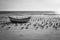 Atlantic Ocean beach. Portugal. Costa da Caparica. Black and white. B&W. Coastline. Birds. Boat.