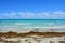 Atlantic Ocean sandy beach with lots of seaweed in Miami Beach