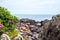 Atlantic Ocean view along the rocky coast of Maine on the Marginal Way path in Ogunquit