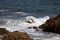 Atlantic ocean waves crashing on rocks rocks in ogunquit maine area