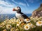 Atlantic Puffin