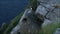 Atlantic puffin, Fratercula arctica slipping on a cliff