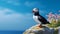 Atlantic Puffins bird or common Puffin in ocean blue background. Fratercula arctica. generative ai