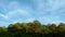 Atlantic rainforest and blue sky with clouds