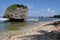 Atlantic rock formations at Bathsheba Beach Barbados