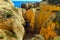 Atlantic rocky coast view (Algarve, Portugal).