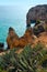 Atlantic rocky coastline (Ponta da Piedade, Lagos, Algarve, Port