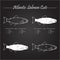 Atlantic salmon cuts diagram