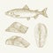 Atlantic Salmon Hand Drawn Doodle Vector Illustrations Set. Abstract Fish Fillets and Steak Sketches. Engraving Style
