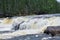 Atlantic salmon jumps waterfall in the wilderness