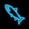 atlantic salmon neon glow icon illustration