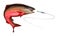 Atlantic salmon or pink salmon attacks fish bait jigs and stakes isolate realistic illustration.