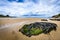 Atlantic sandy beach in Spain with city of Coruna background.