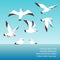 Atlantic seabirds flying background design