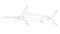 Atlantic swordfish,vector illustration ,lining draw