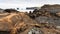 Atlantic volcanic beach and view of Dyrholaey