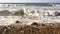 Atlantic waves crashing on rocky coast