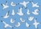 Atlantic white seabird fly at sky. Beach seagull at quay. Sea birds, gull cartoon vector illustration