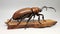 Atlas beetle on sawtooth oak. generative ai
