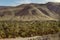 Atlas mountains and date palm plantations in Morocco Draa valley