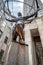 Atlas statue at Fifth Avenue in midtown New York City