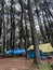 The atmosphere around the tent site of the Datar Pinus park. Lots of traveller are Camping at Datar Pinus Pangalengan Park.