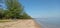 The atmosphere of the beach with sand overgrown with vines and overgrown with pine trees along the shoreline in the morning