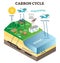 Atmosphere carbon exchange cycle in nature, planet earth ecology science vector illustration diagram scene.