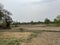 The atmosphere of dry rice fields in rural areas of Thailand.