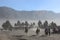 The atmosphere in the sea of sand of Mount Bromo in the Bromo Tengger Semeru National Park