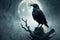 In an atmosphere steeped in mystery and chilling intrigue, a crow or raven perches upon a tree branch.