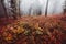 Atmospheric autumn woods background with red leaves