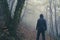 An atmospheric concept. Of a spooky hooded figure, back to camera. standing in a forest on a, foggy autumn day. UK