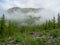 Atmospheric green rainy forest landscape with firs in mountains. Minimalist scenery with edge coniferous forest in light mist.