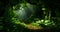 An atmospheric image of a winding forest trail illuminated by a single beam of light