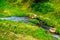 Atmospheric landscape with river. water stream among green grass . Beautiful scenery with small river