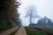 An atmospheric landscape of a track by woodland, on a spooky, misty autumn day