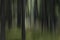 Atmospheric mystic abstract forest. Intentional blur, special effect, achieved by moving camera during long exposure.