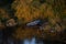 Atmospheric photograph of abandoned boats on the river bank