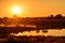 Atmospheric picture of Zebra at a waterhole at sunset